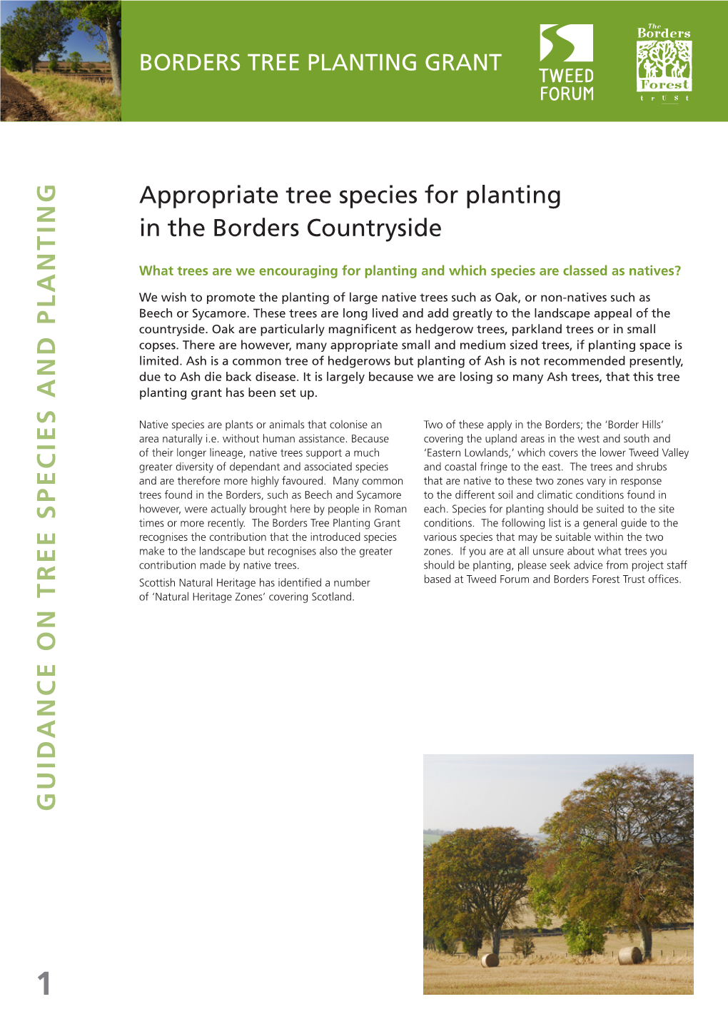 Guidance on Tree Species and Planting