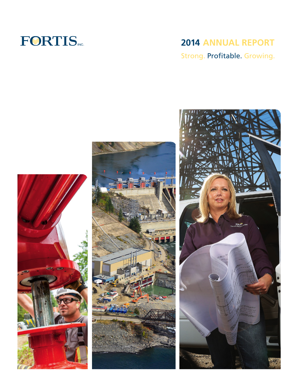 2014 Annual Report – Fortis Inc