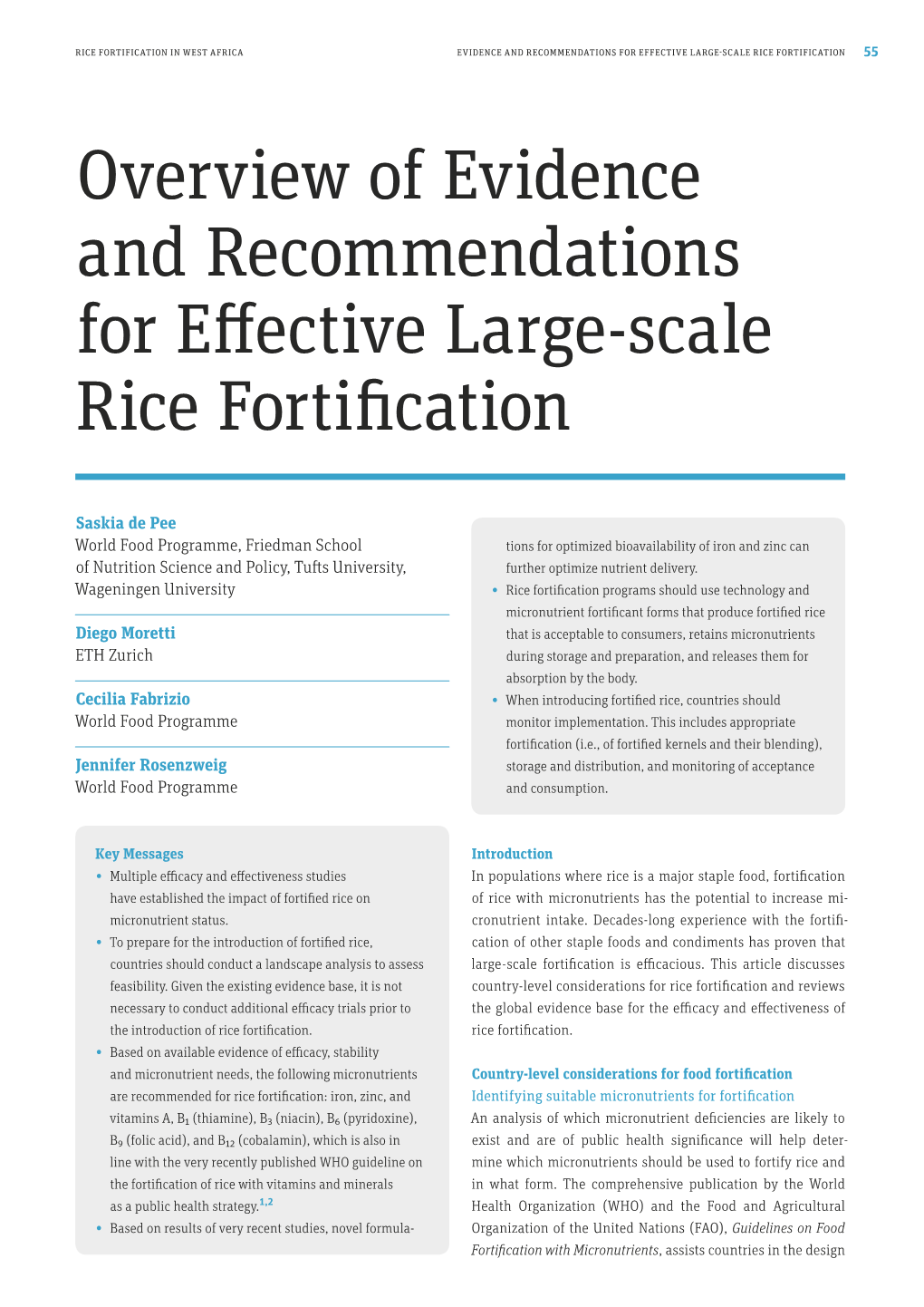Overview of Evidence and Recommendations for Effective Large-Scale Rice Fortification