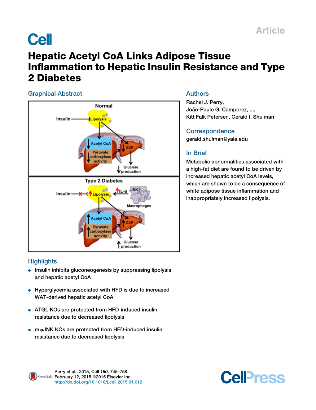 Hepatic Acetyl Coa Links Adipose Tissue Inflammation to Hepatic