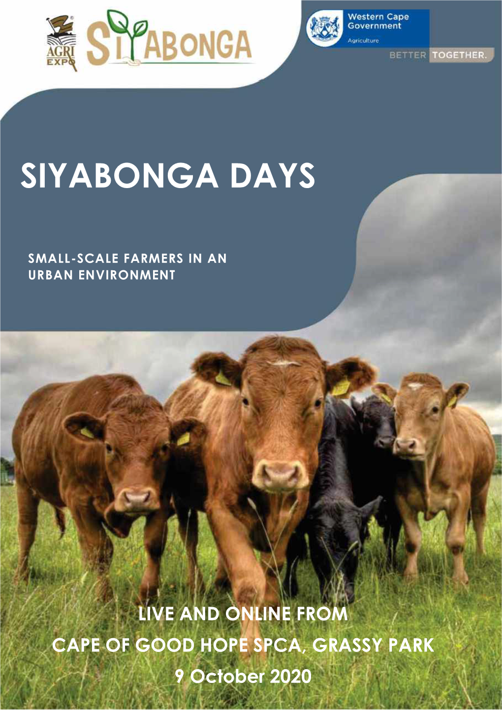 Siyabonga Days
