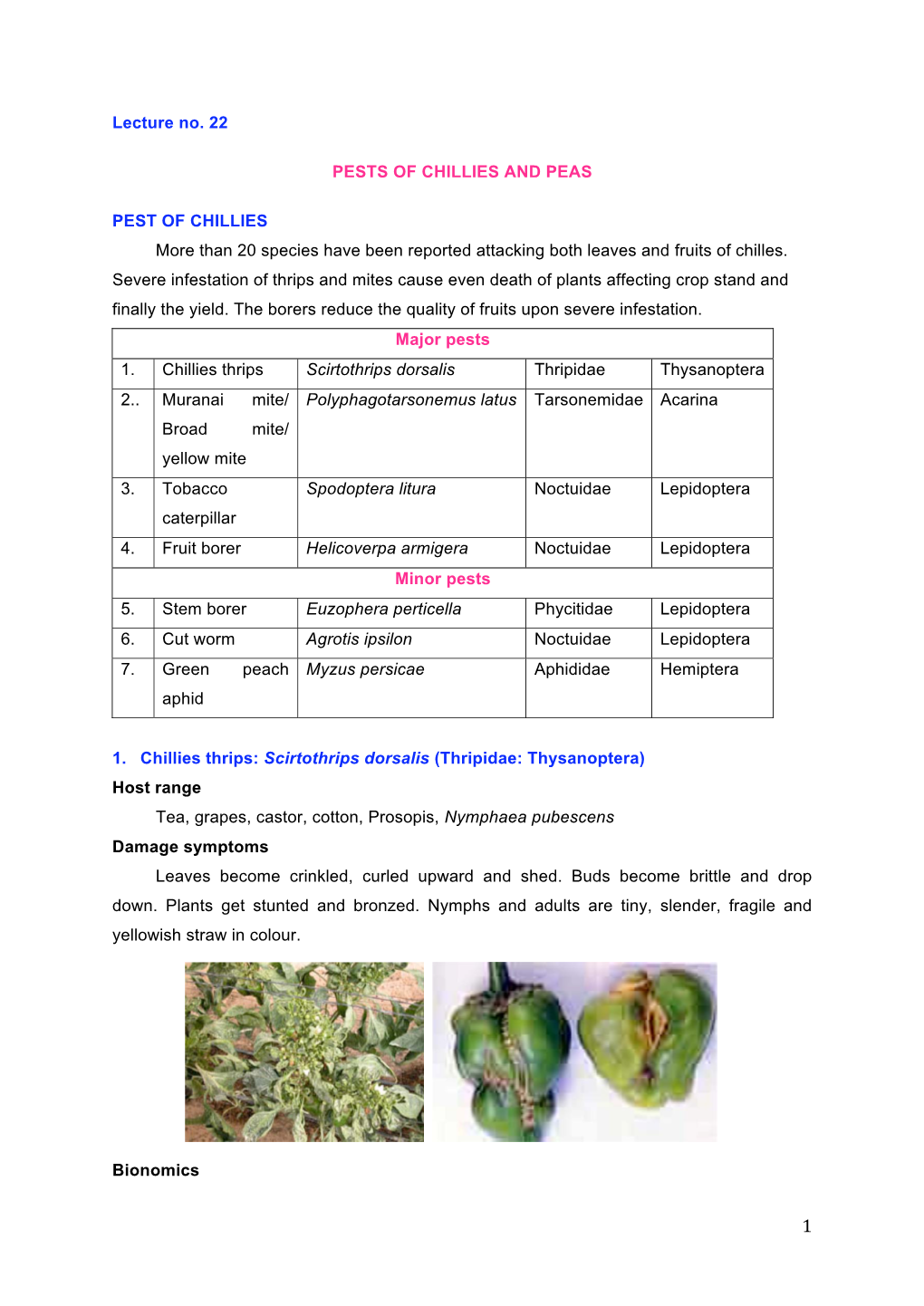 Pests of Chillies and Peas