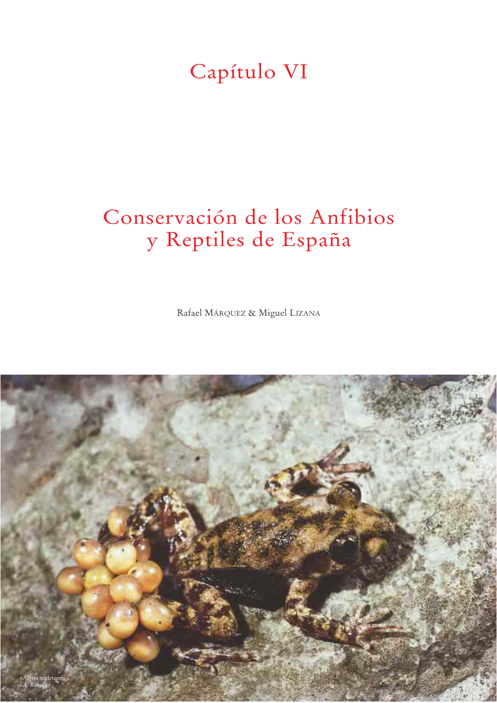 Capítulo VI Conservación De Los Anfibios Y Reptiles De España