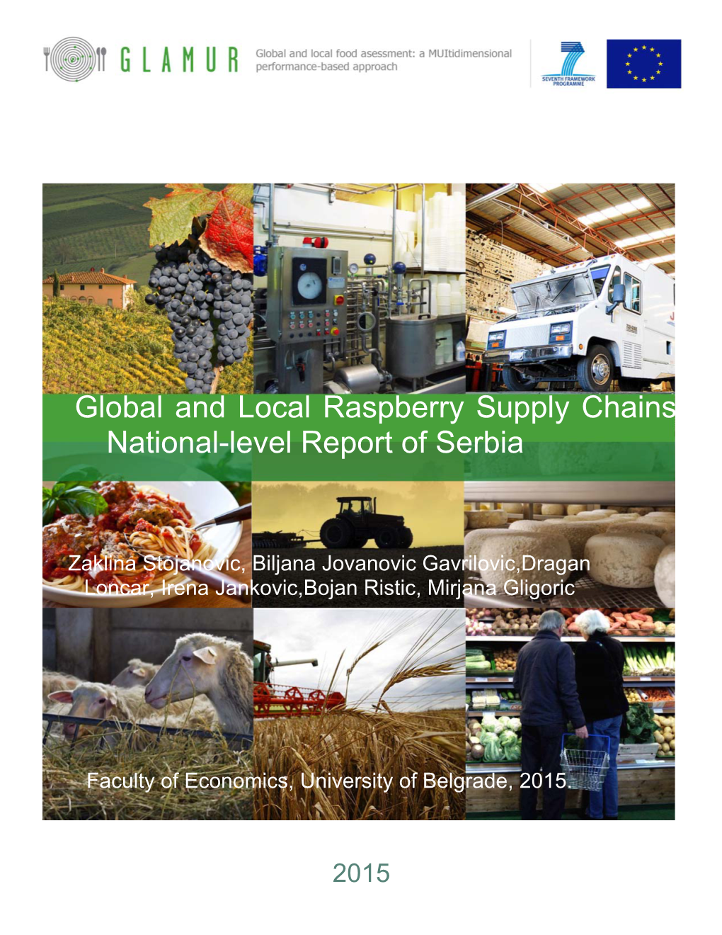 National-Level Report of Serbia