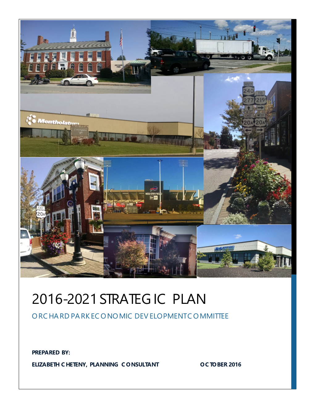 Orchard Park Economic Development Committee Strategic Plan for 2016-2021