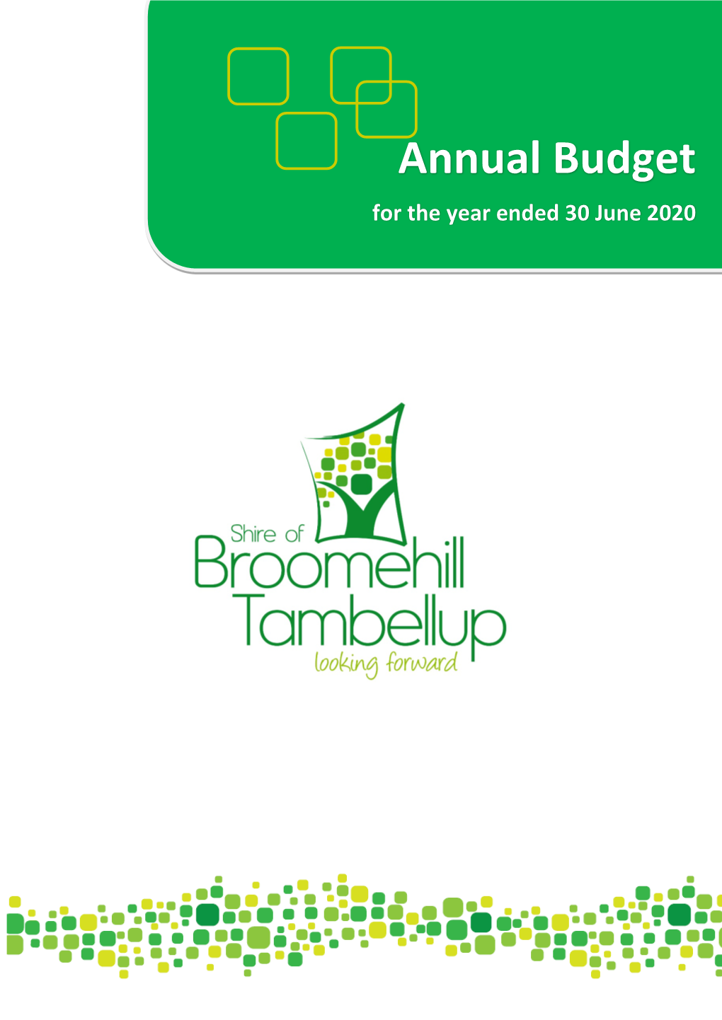 Annual Budget for the Year Ended 30 June 2020