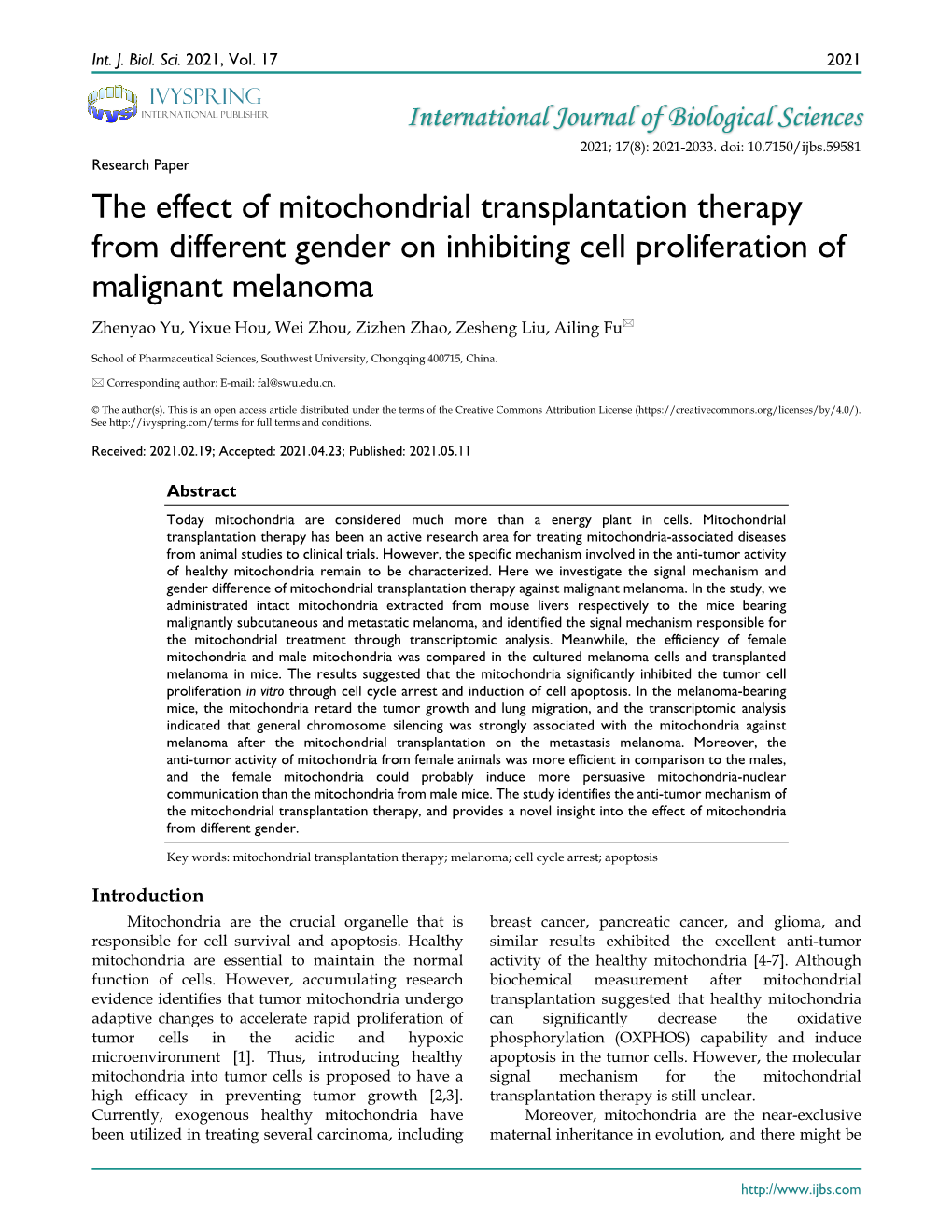 The Effect of Mitochondrial Transplantation Therapy From