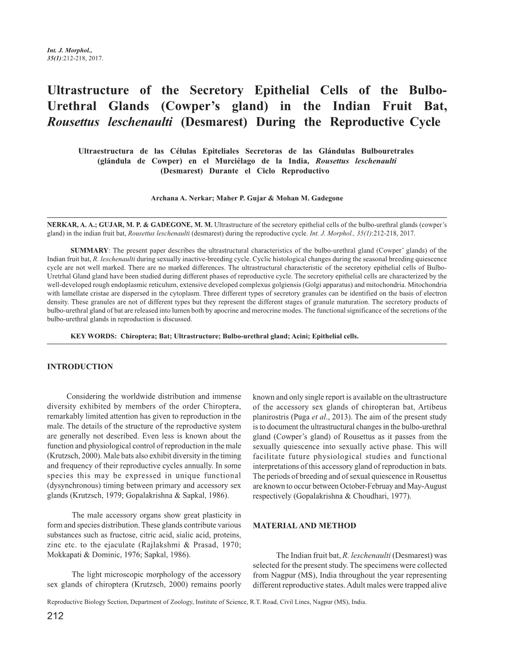 Ultrastructure of the Secretory Epithelial Cells of the Bulbo- Urethral Glands (Cowper's Gland) in the Indian Fruit Bat, Rouse