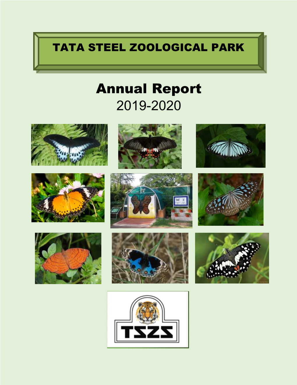 Annual Report 2019-2020