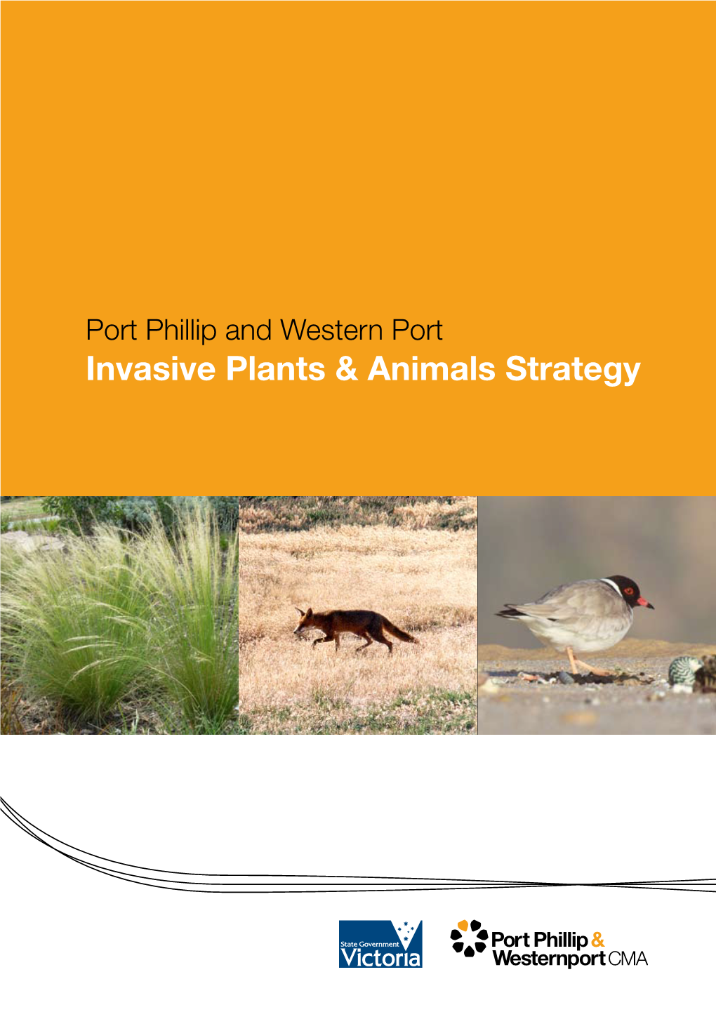 Invasive Plants & Animals Strategy