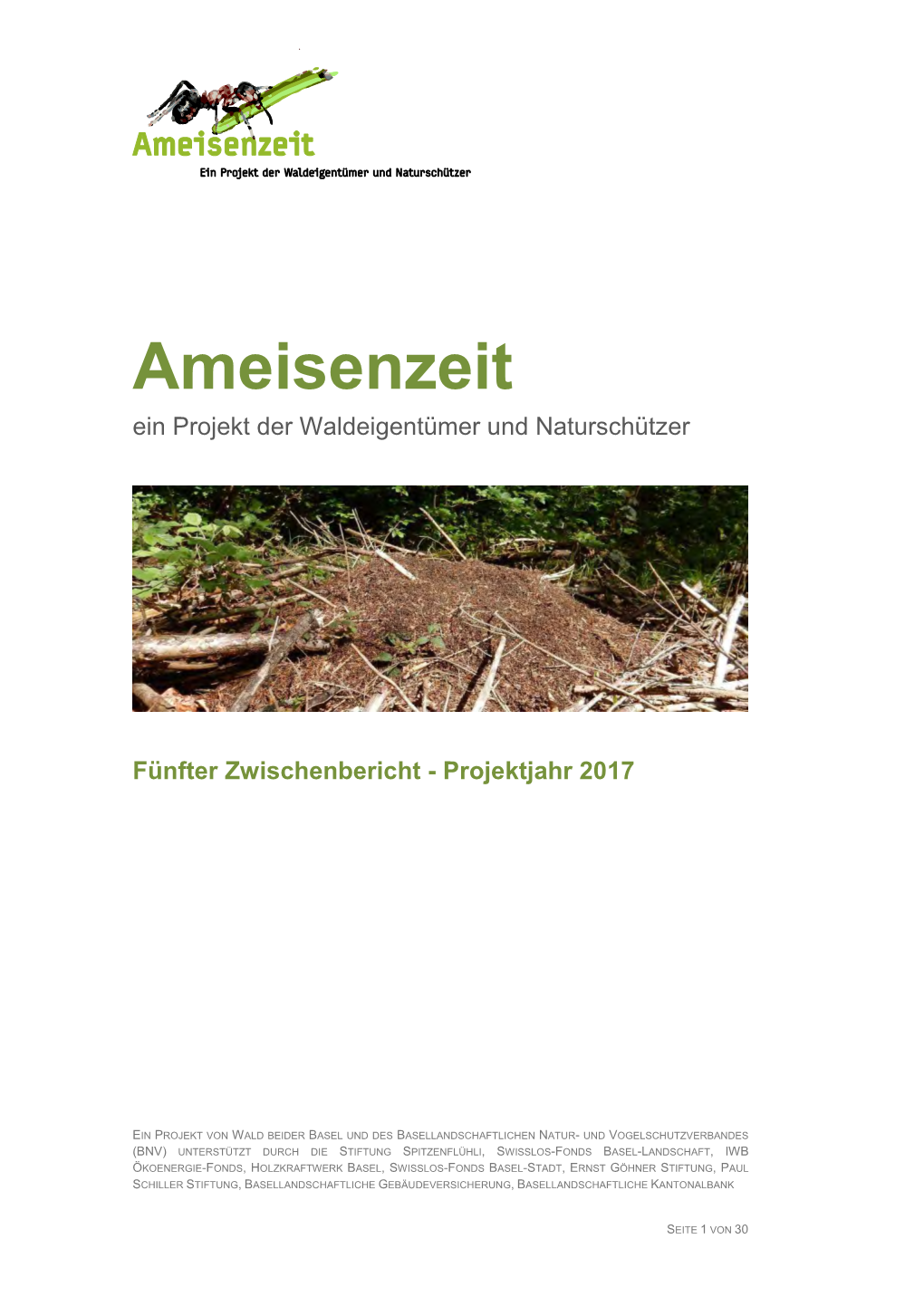 Ameisenzeit Ein Projekt Der Waldeigentümer Und Naturschützer