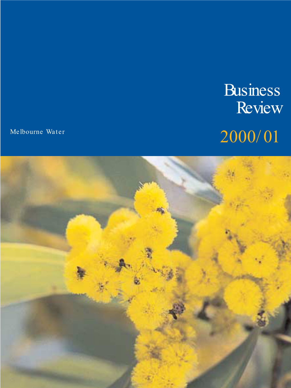 Business Review 2000/01