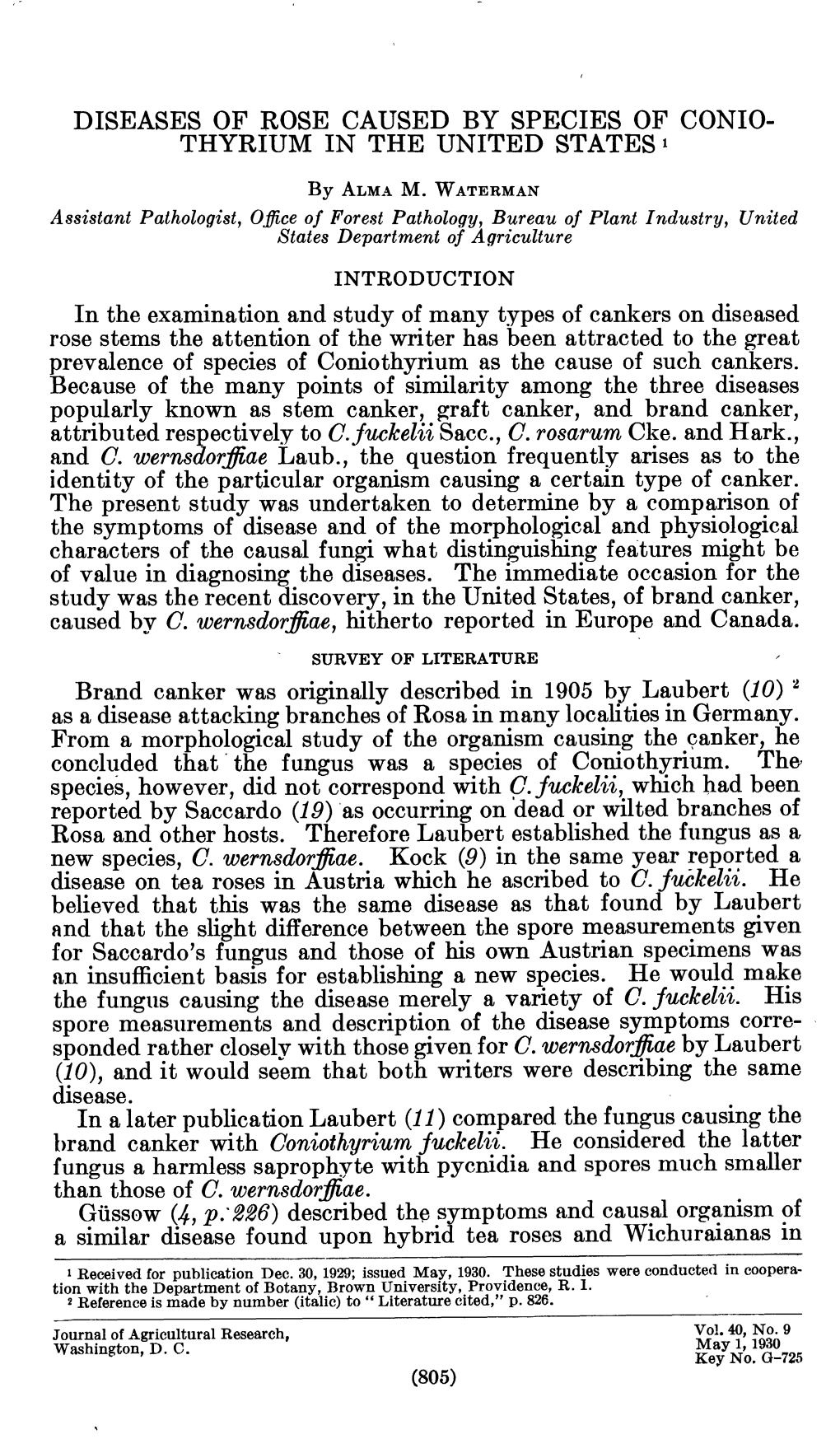 Diseases of Rose Caused by Species of Conio- Thyrium in the United States ^