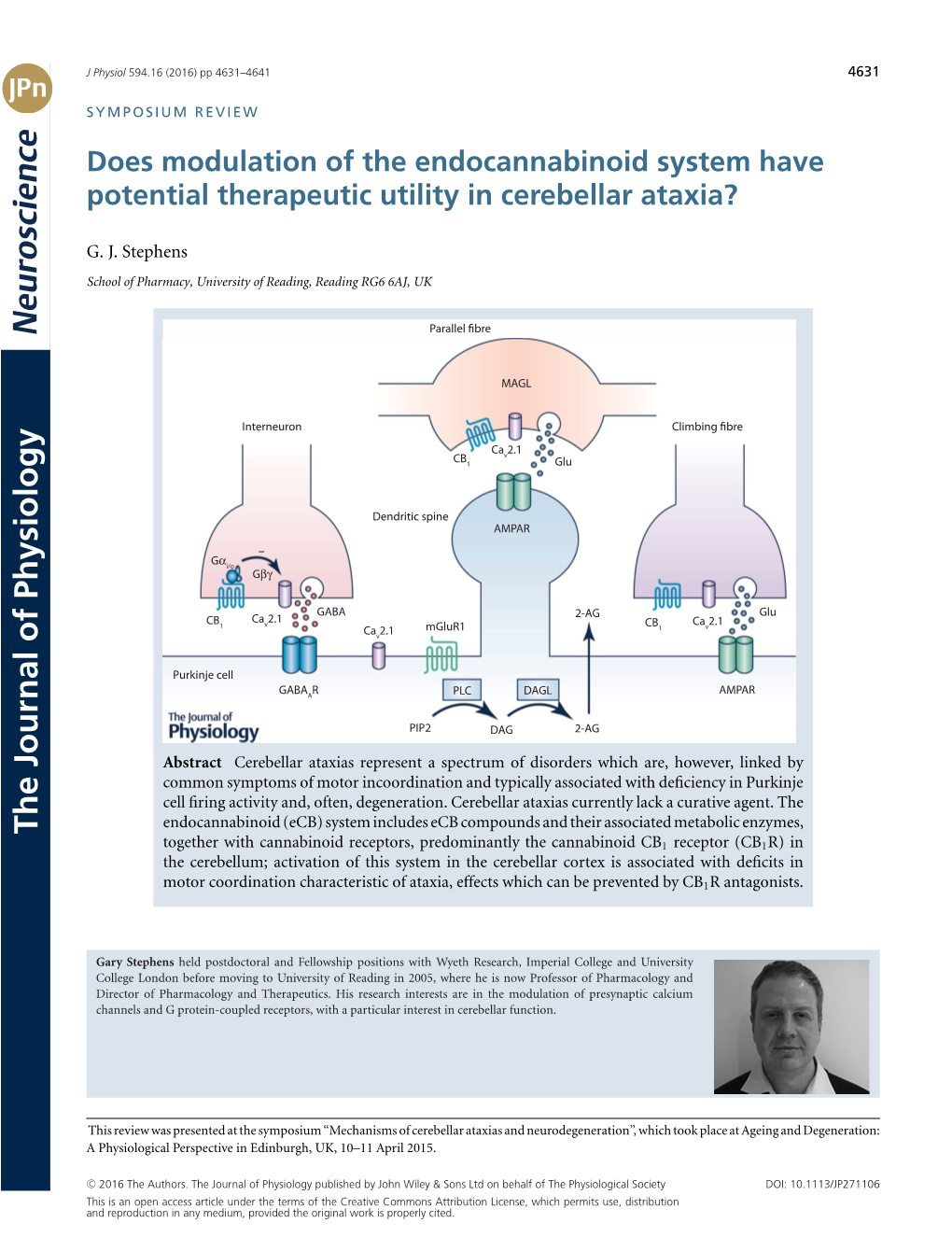 Does Modulation of the Endocannabinoid System Have Potential Therapeutic Utility in Cerebellar Ataxia?