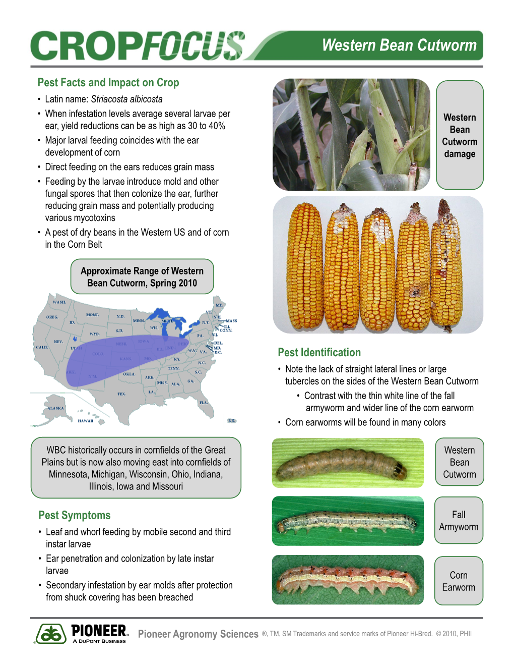 Western Bean Cutworm