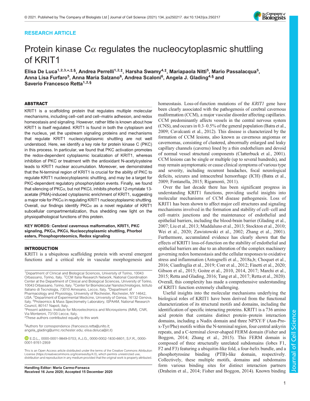 Protein Kinase Cα Regulates the Nucleocytoplasmic Shuttling of KRIT1