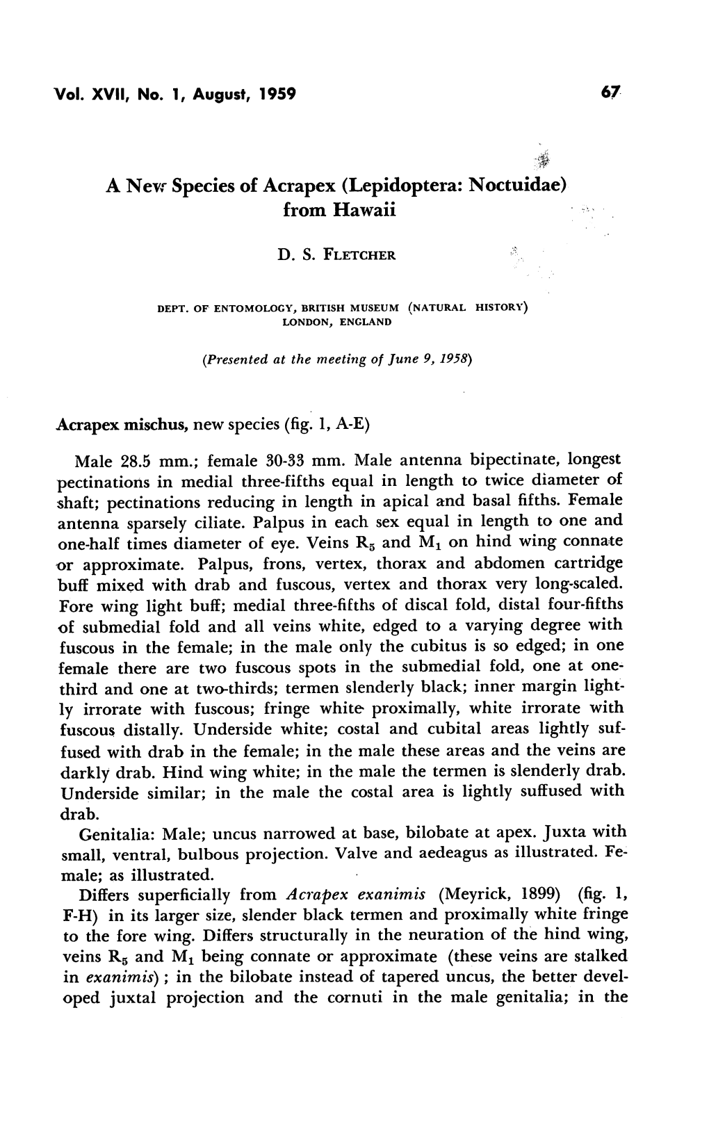 A New Species of Acrapex (Lepidoptera: Noctuidae) from Hawaii