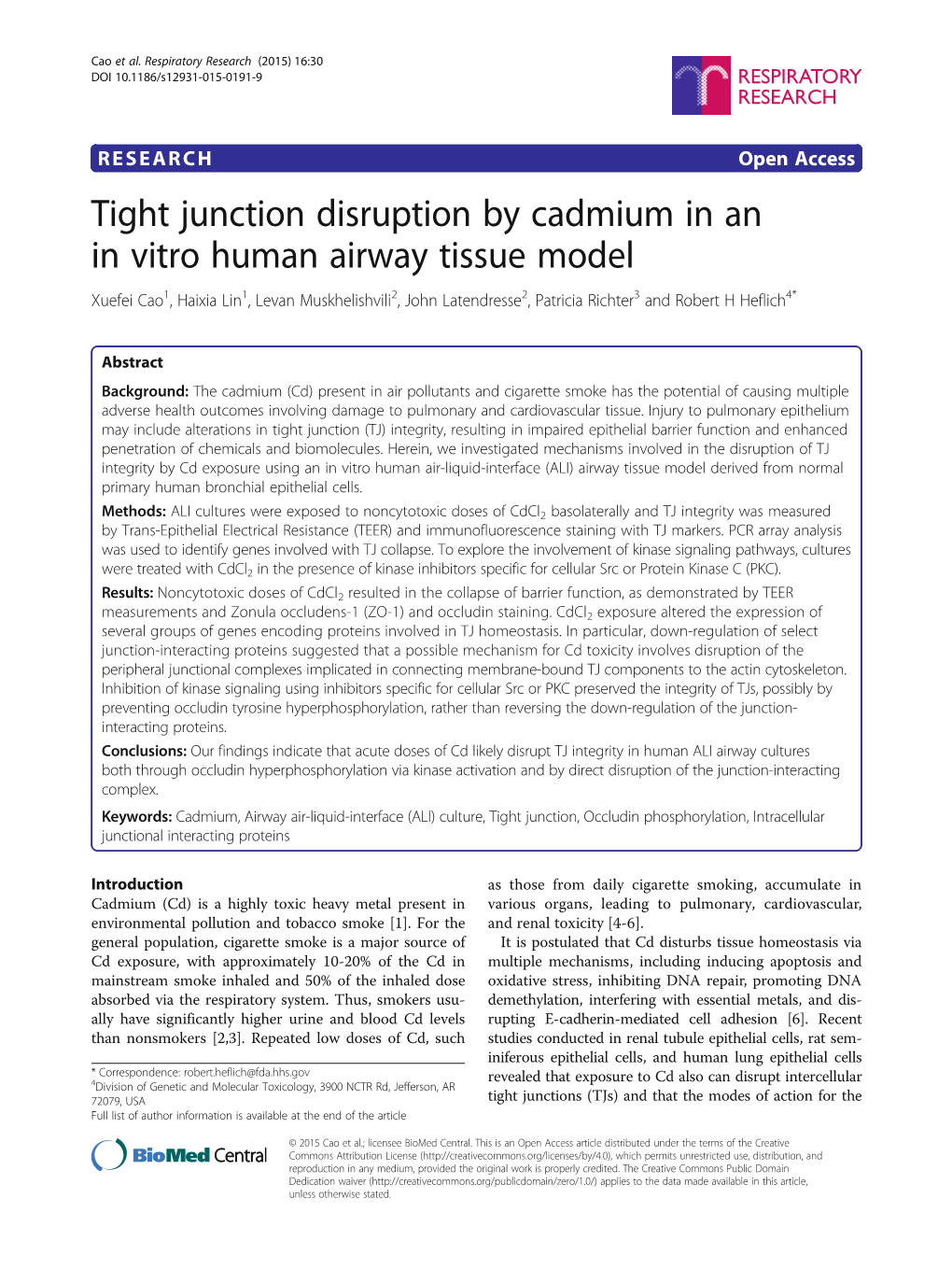 Tight Junction Disruption by Cadmium in an in Vitro Human Airway Tissue