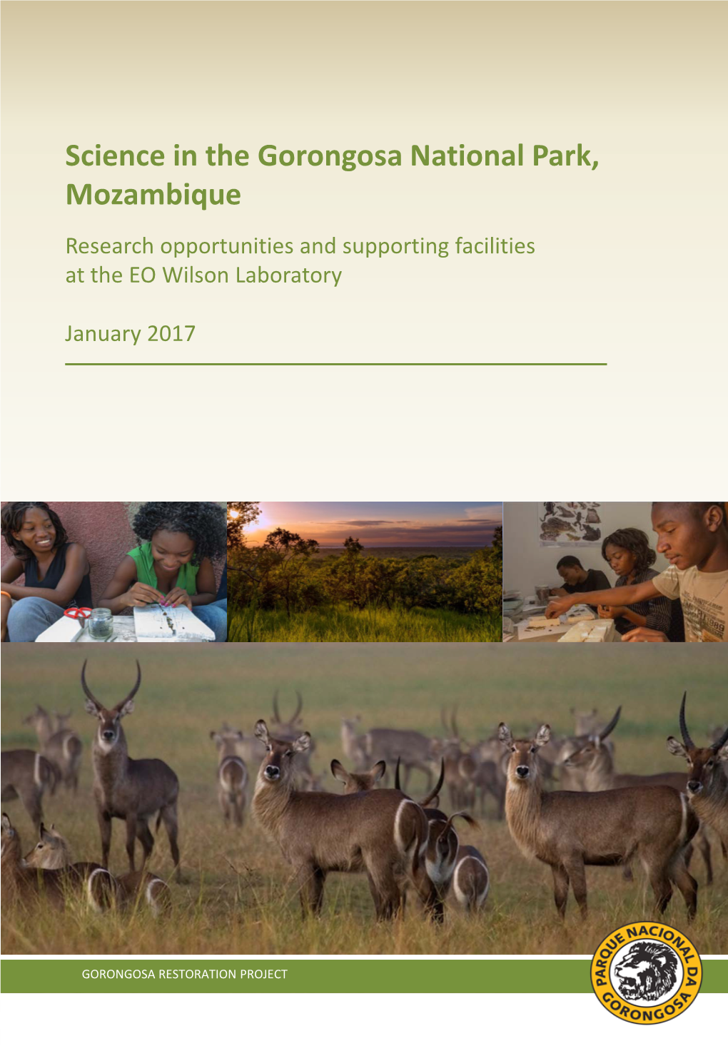 Gorongosa Research Background And