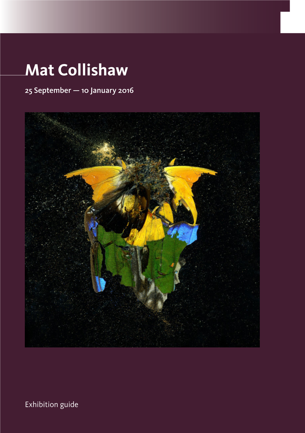 Mat Collishaw 25 September — 10 January 2016