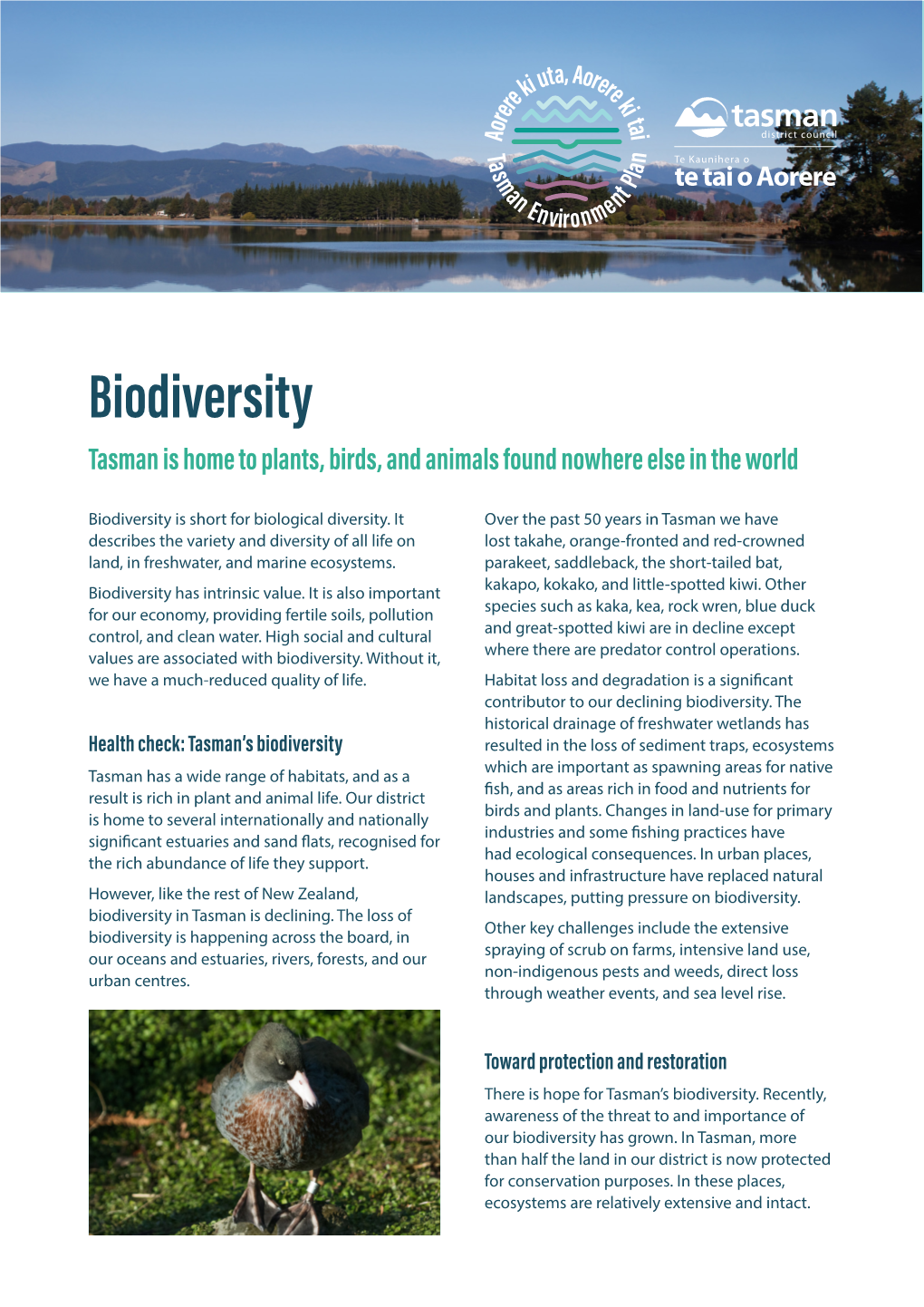 Biodiversity Fact Sheet