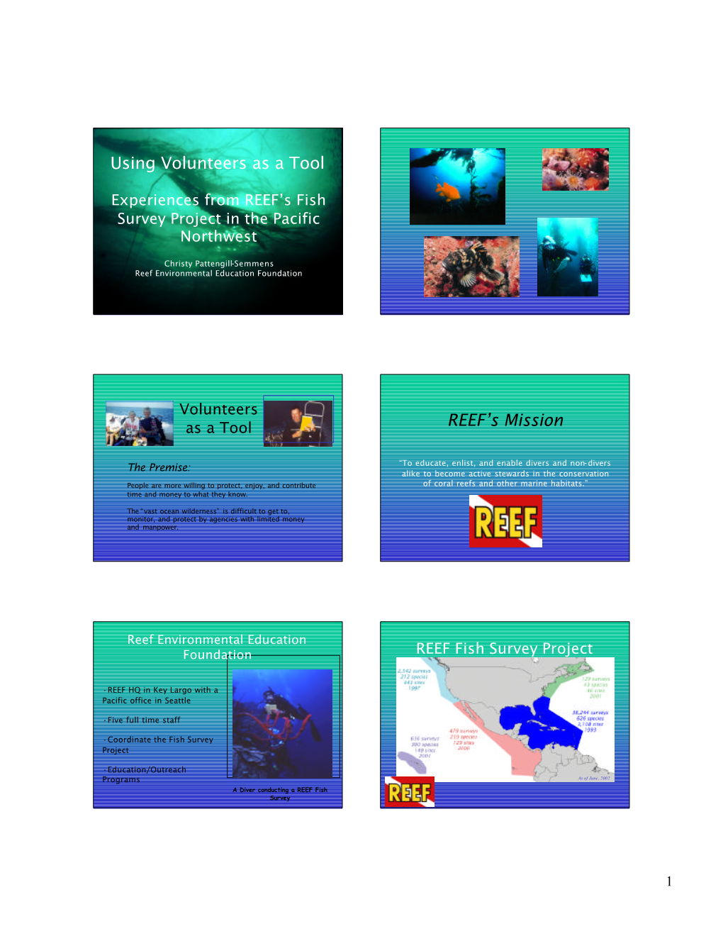 Slides: the REEF Fish Survey Project, by Christy Semmens