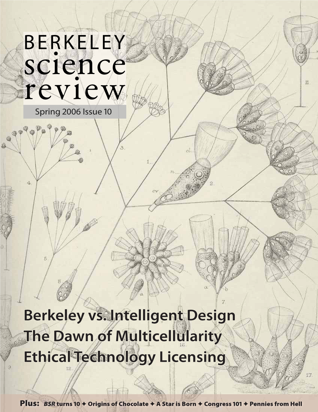 BERKELEY Science Review Spring 2006 Issue 10