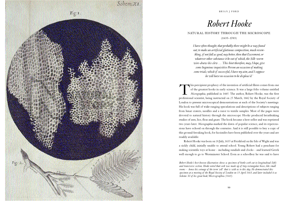 Robert Hooke