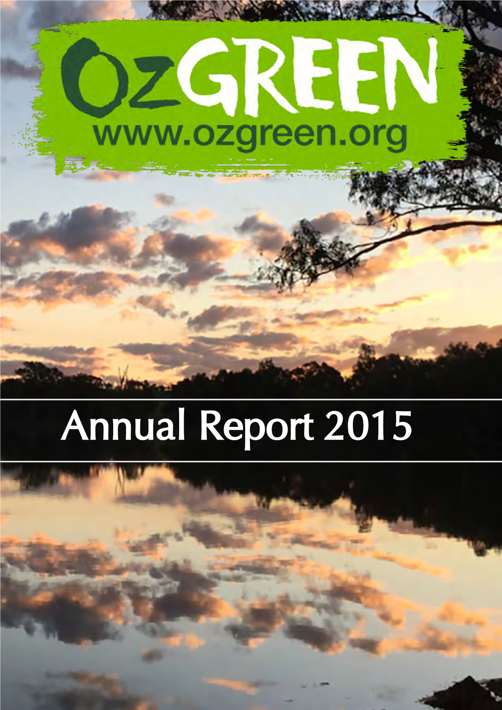 2015 Annual Report