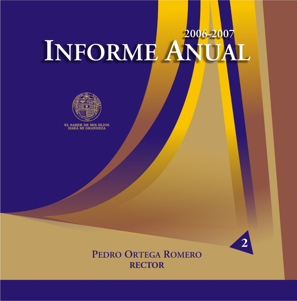 Informe Anual 2007