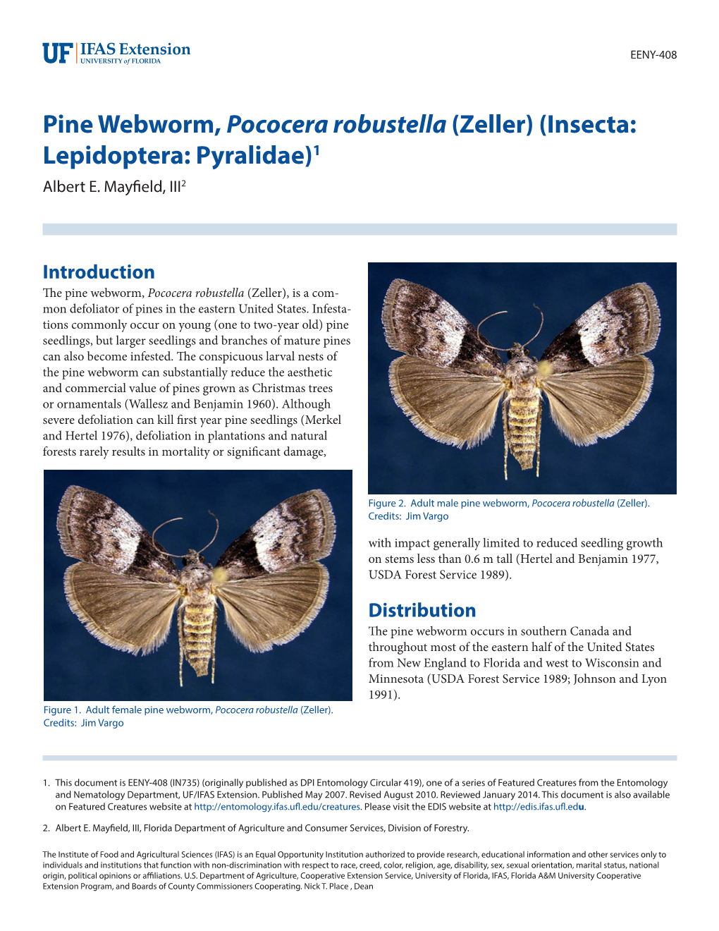 Pine Webworm, Pococera Robustella (Zeller) (Insecta: Lepidoptera: Pyralidae)1 Albert E