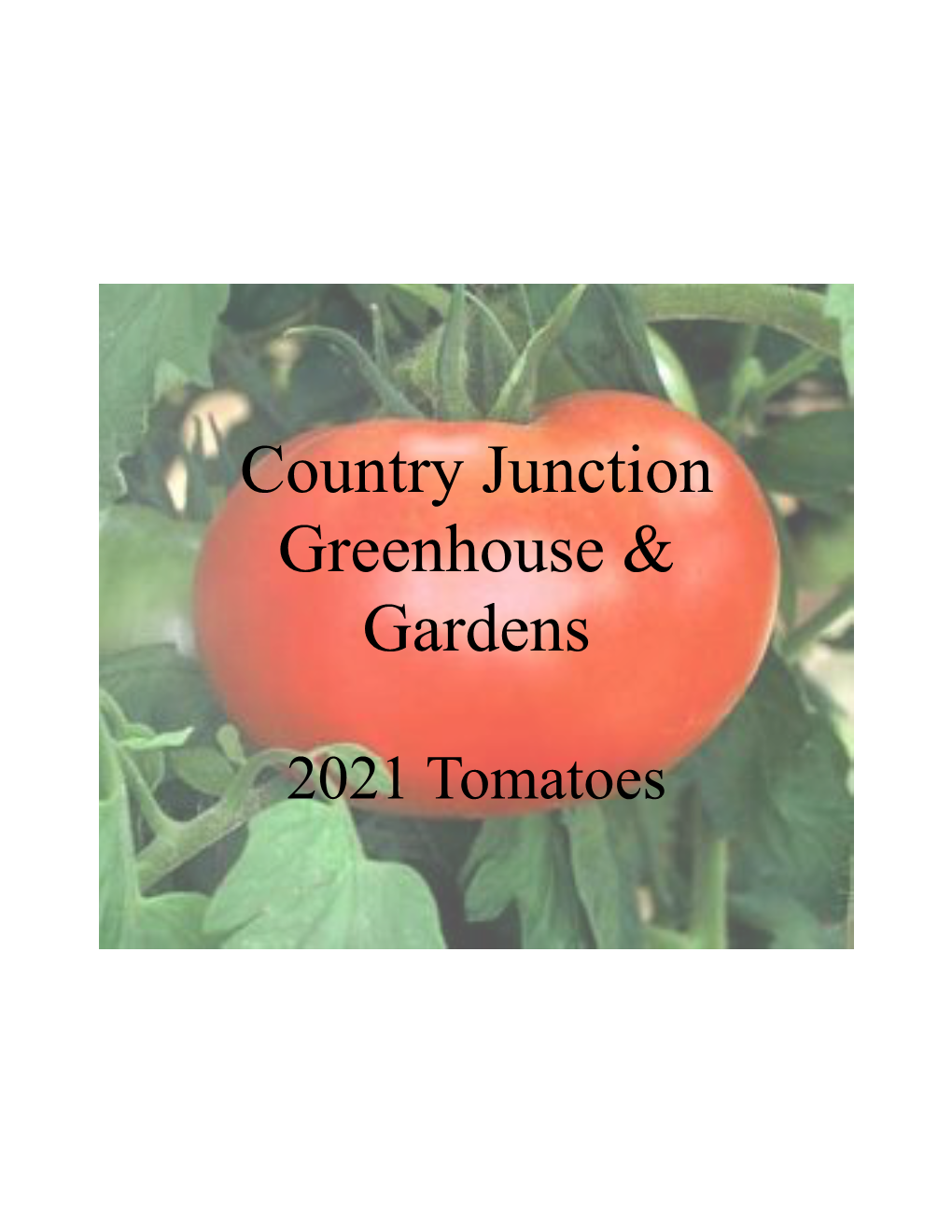 Tomatoes Catalog 2021