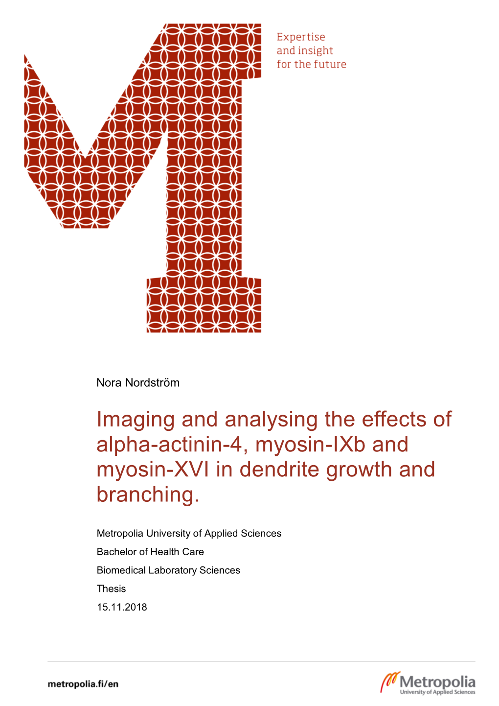 Imaging and Analysing the Effects of Alpha-Actinin-4, Myosin-Ixb And