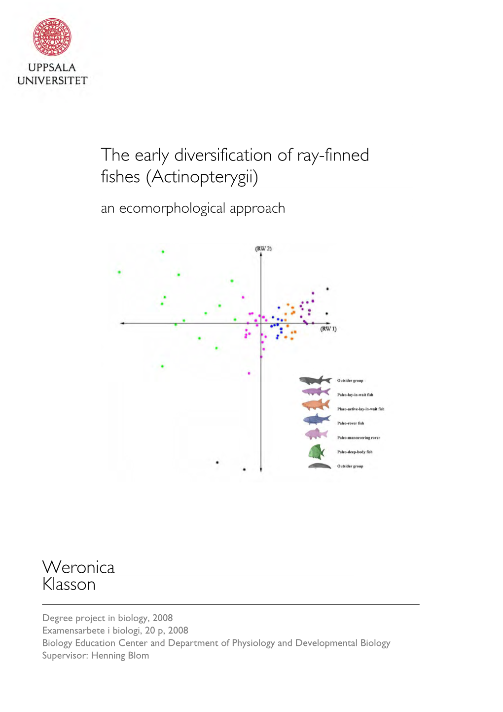 The Early Diversification of Ray-Finned Fishes (Actinopterygii) a N an Ecomorphological Approach