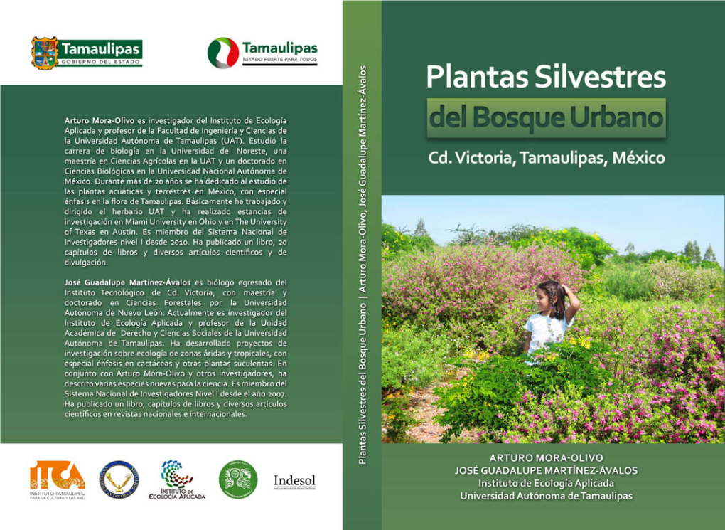 Plantas Silvestres Cd. Victoria, Tamaulipas, México