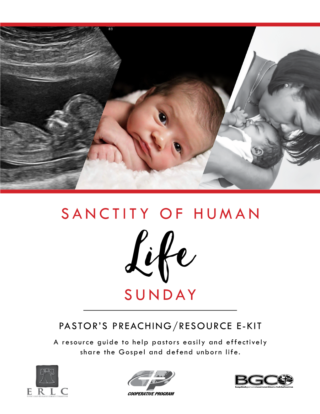 Sanctity of Human Sunday