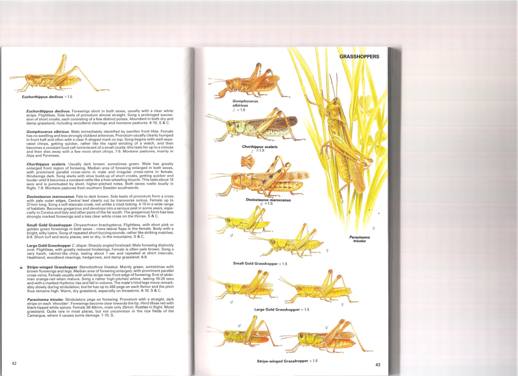 Insects-Chinery-41-51.Pdf