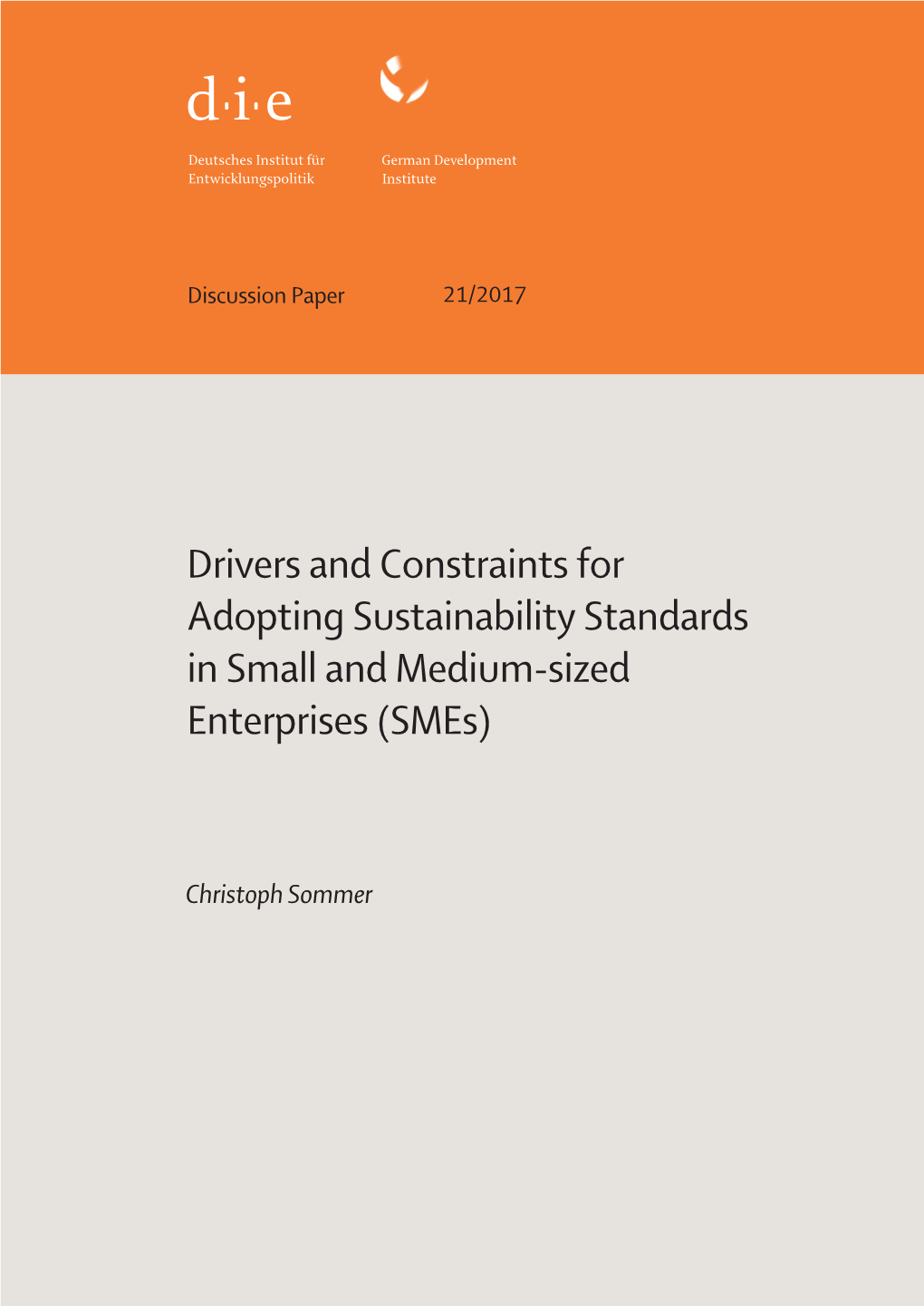 Drivers and Constraints for Adopting Sustainability Standards in Small and Medium-Sized Enterprises (Smes)