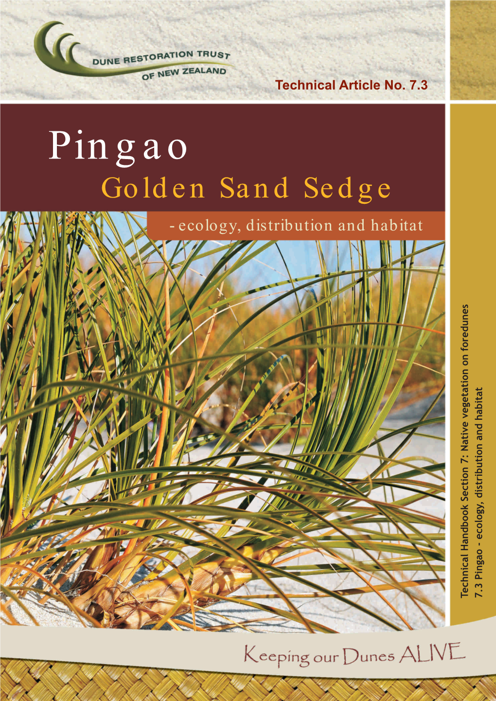 7.3 Pingao Golden Sand Sedge
