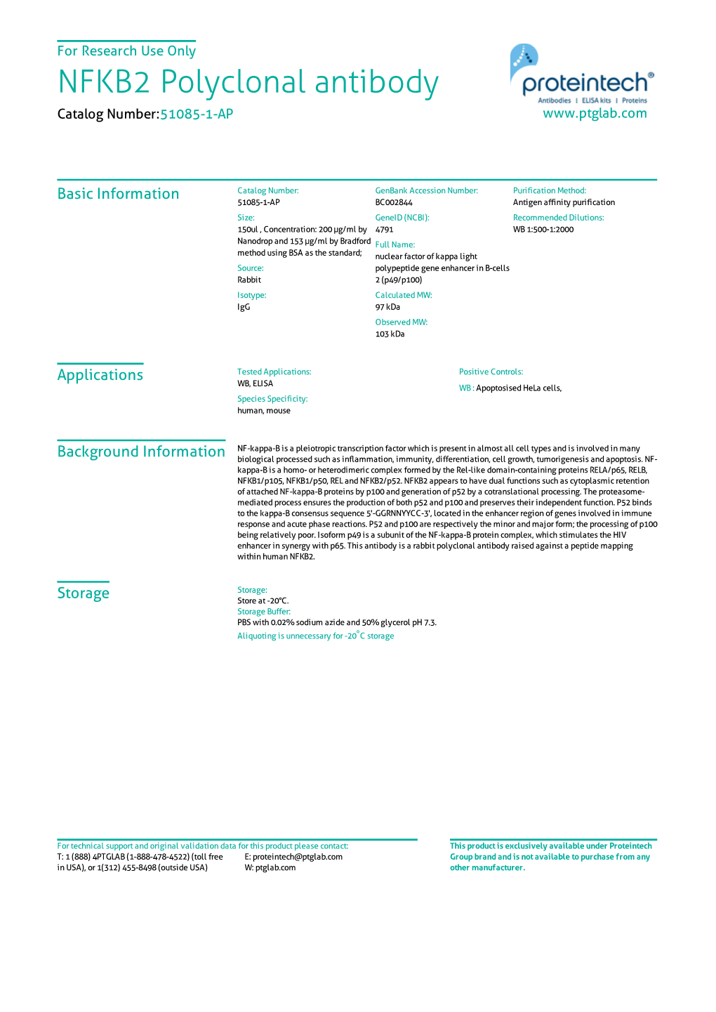 NFKB2 Polyclonal Antibody Catalog Number:51085-1-AP
