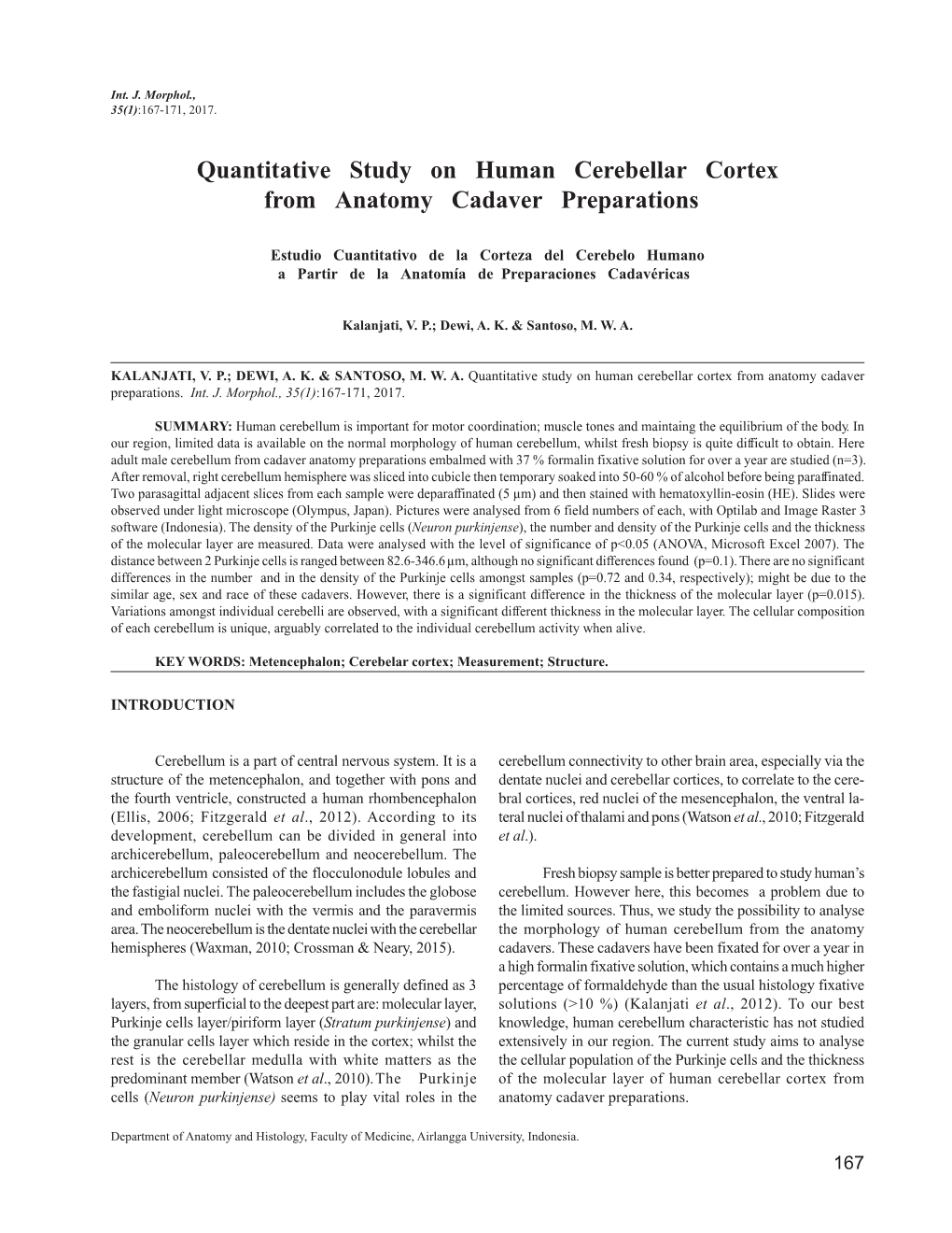 Quantitative Study on Human Cerebellar Cortex from Anatomy Cadaver Preparations