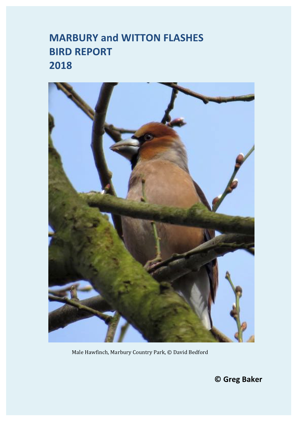 MARBURY and WITTON FLASHES BIRD REPORT 2018