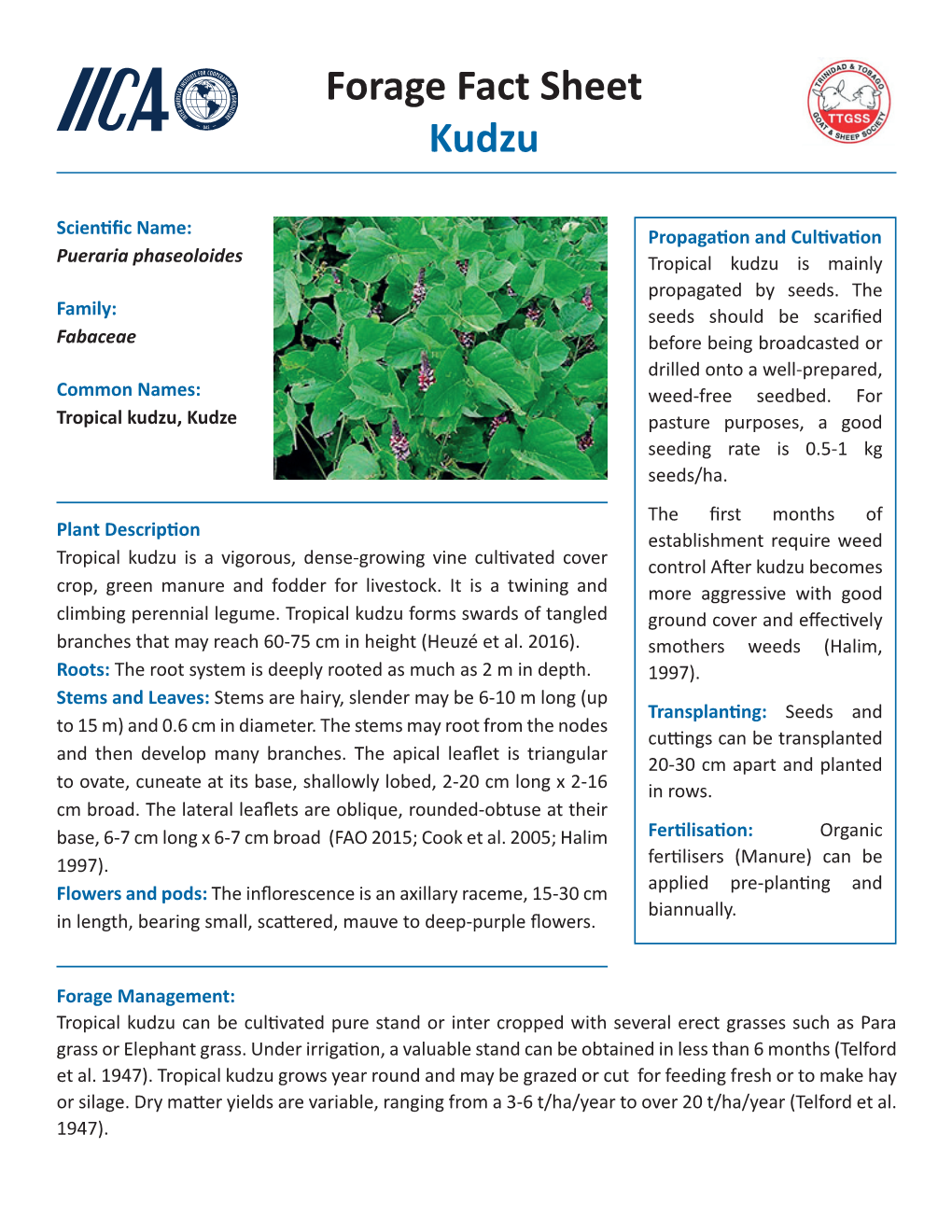 Forage Fact Sheet Kudzu