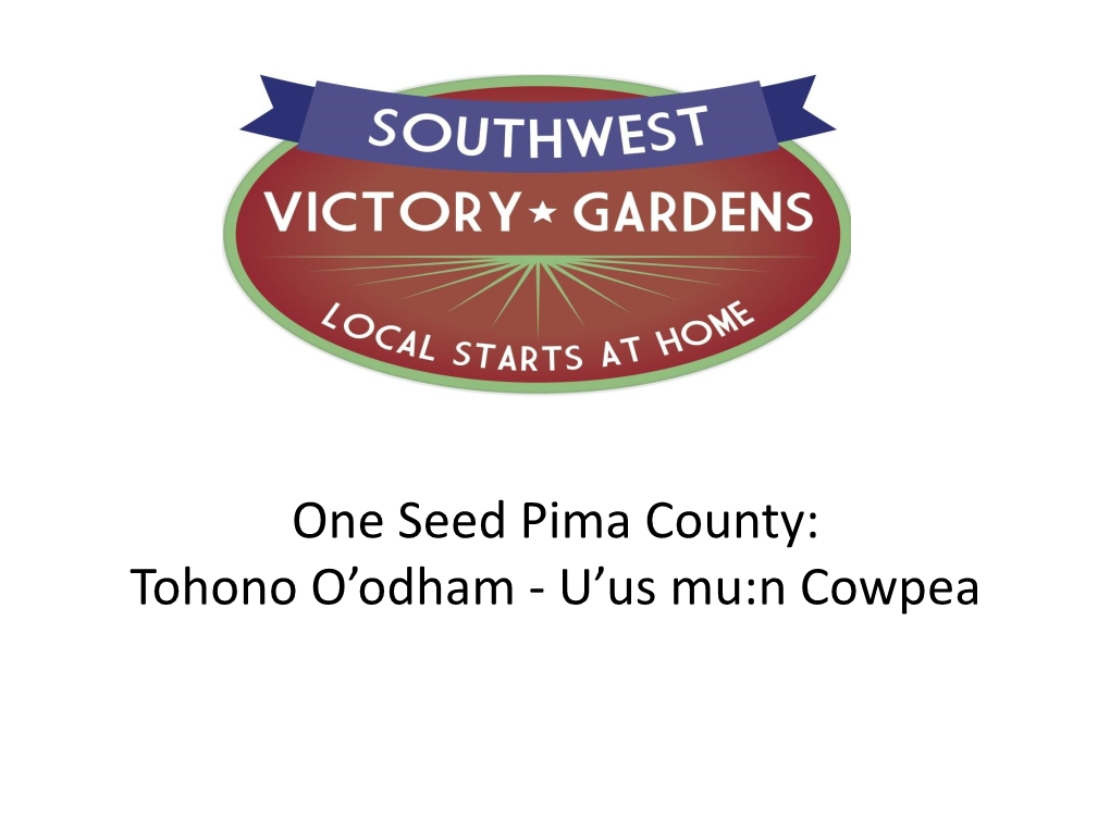 One Seed Pima County: Tohono O’Odham - U’Us Mu:N Cowpea Brandon Merchant