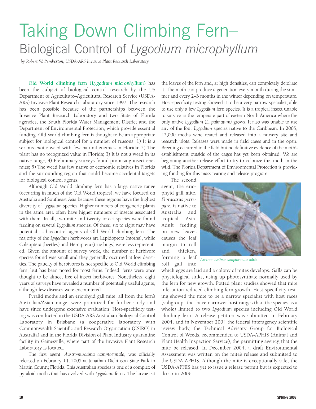 Taking Down Climbing Fern–Biological Control of Lygodium Microphyllum