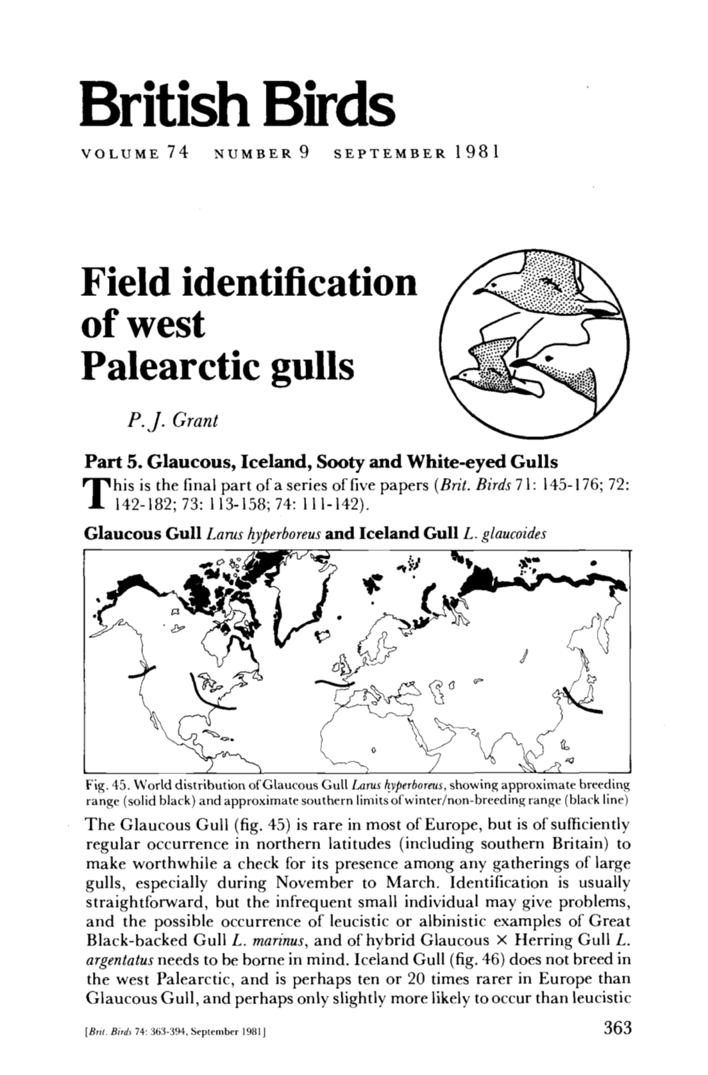 Field Identification of West Palearctic Gulls P.J
