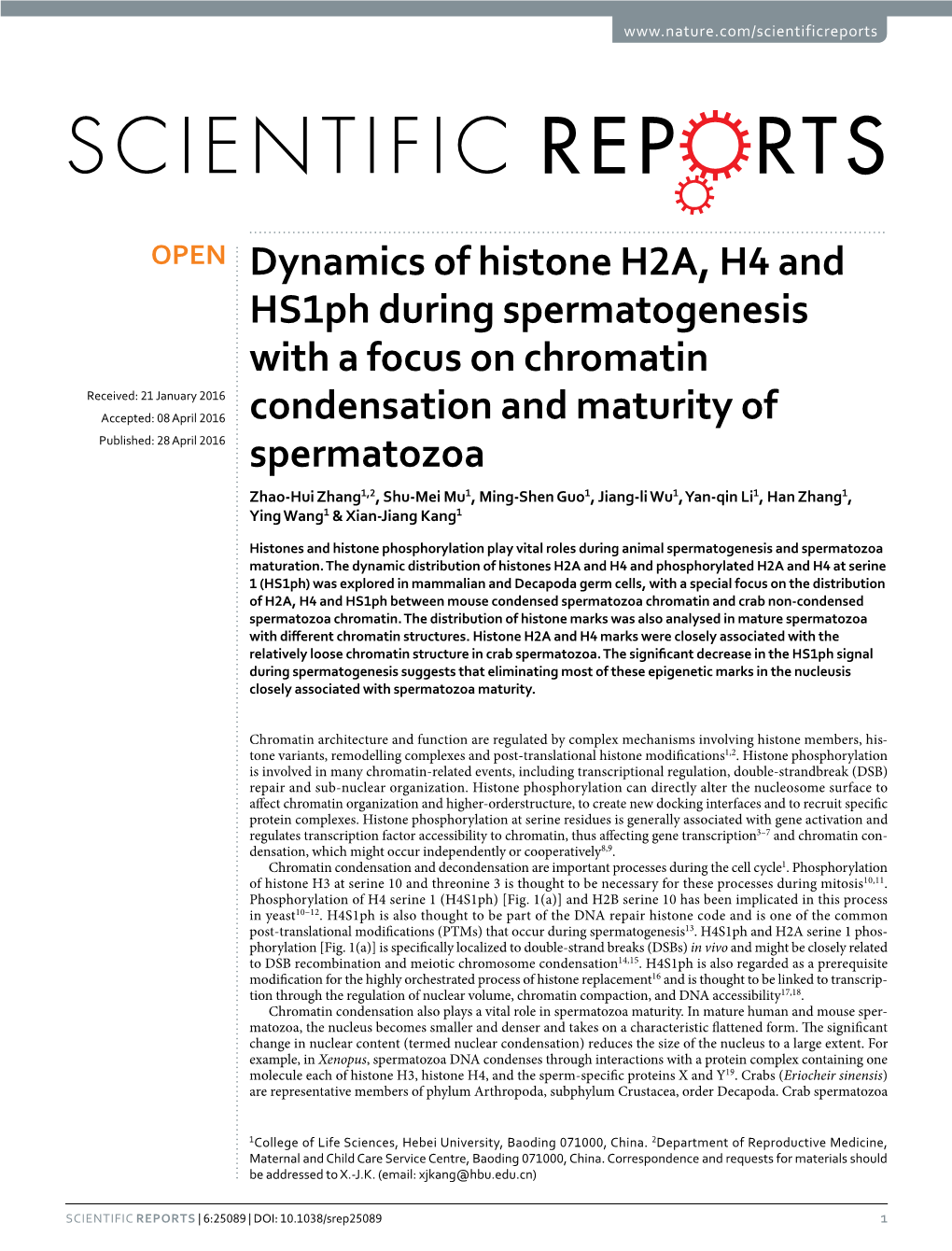 Dynamics of Histone H2A, H4 and Hs1ph During Spermatogenesis