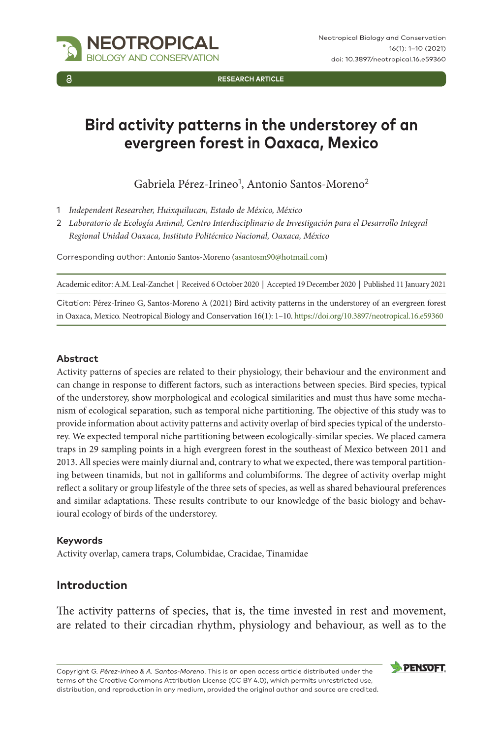 ﻿Bird Activity Patterns in the Understorey of an Evergreen Forest