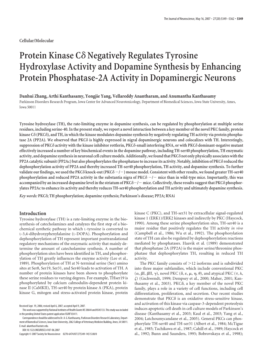 Protein Kinase C Negatively Regulates Tyrosine Hydroxylase