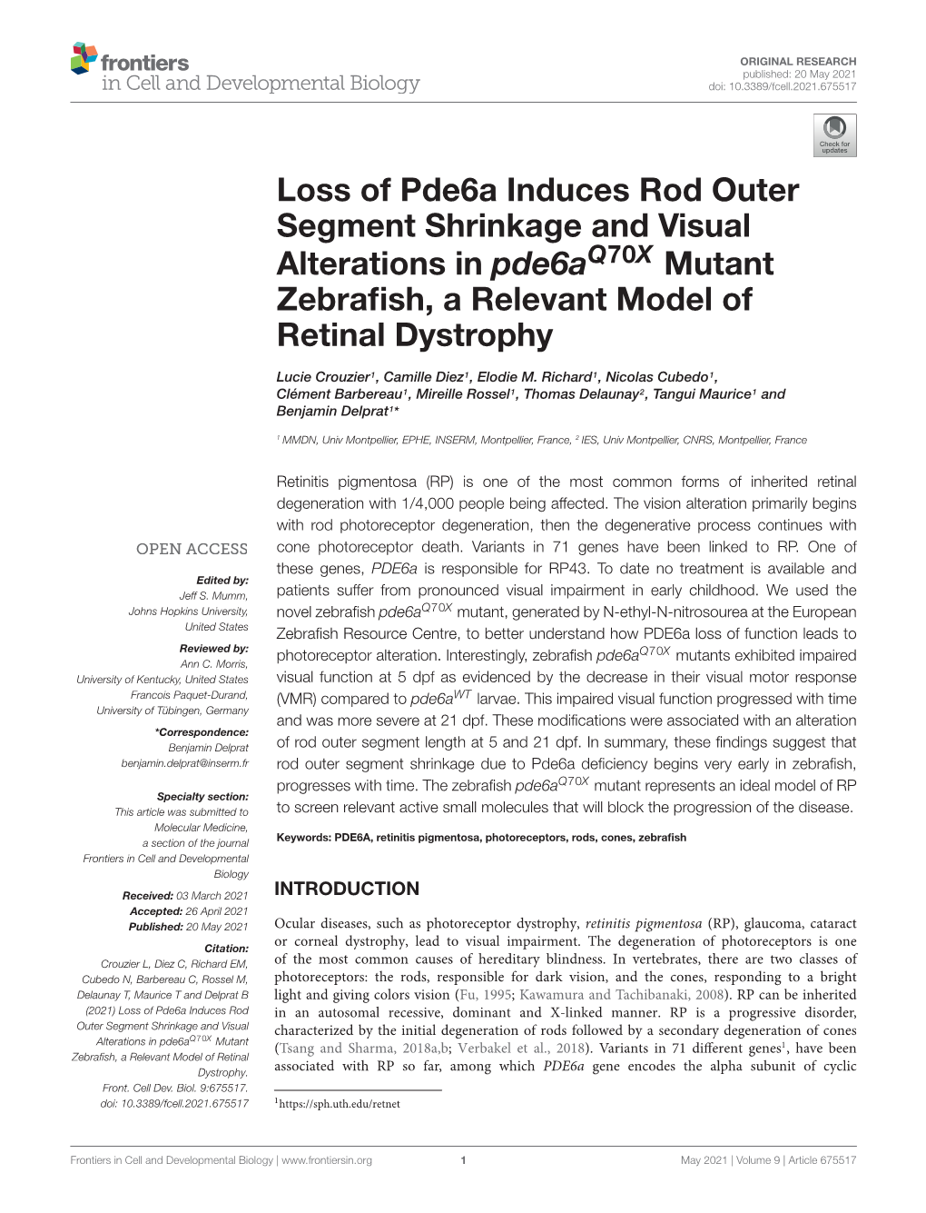 Loss of Pde6a Induces Rod Outer Segment Shrinkage and Visual Alterations in Pde6aq70x Mutant Zebrafish, a Relevant Model of Reti